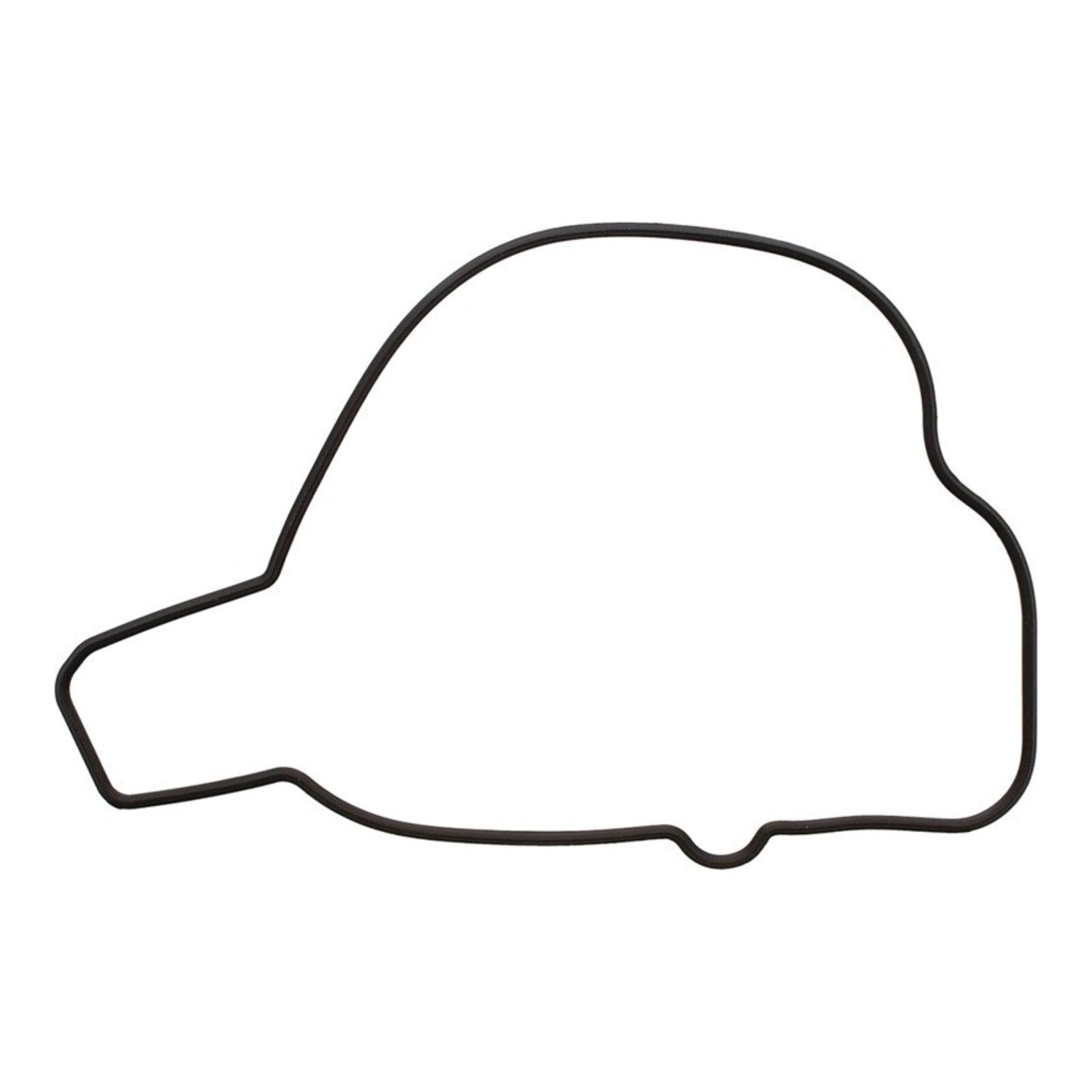 Ignition Cover Gasket Kit 819210