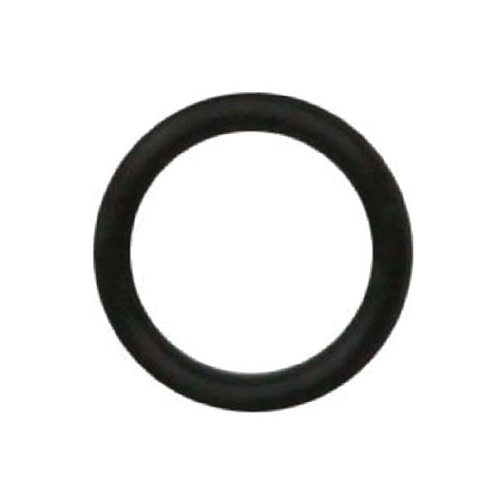 IWATA O RING FOR W101 / W200 / W300 / W400