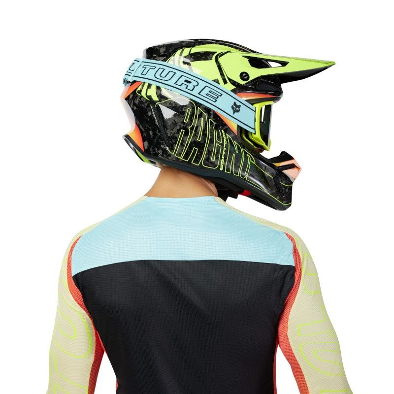 Fox Vue Elevated LE Goggle-Vivid