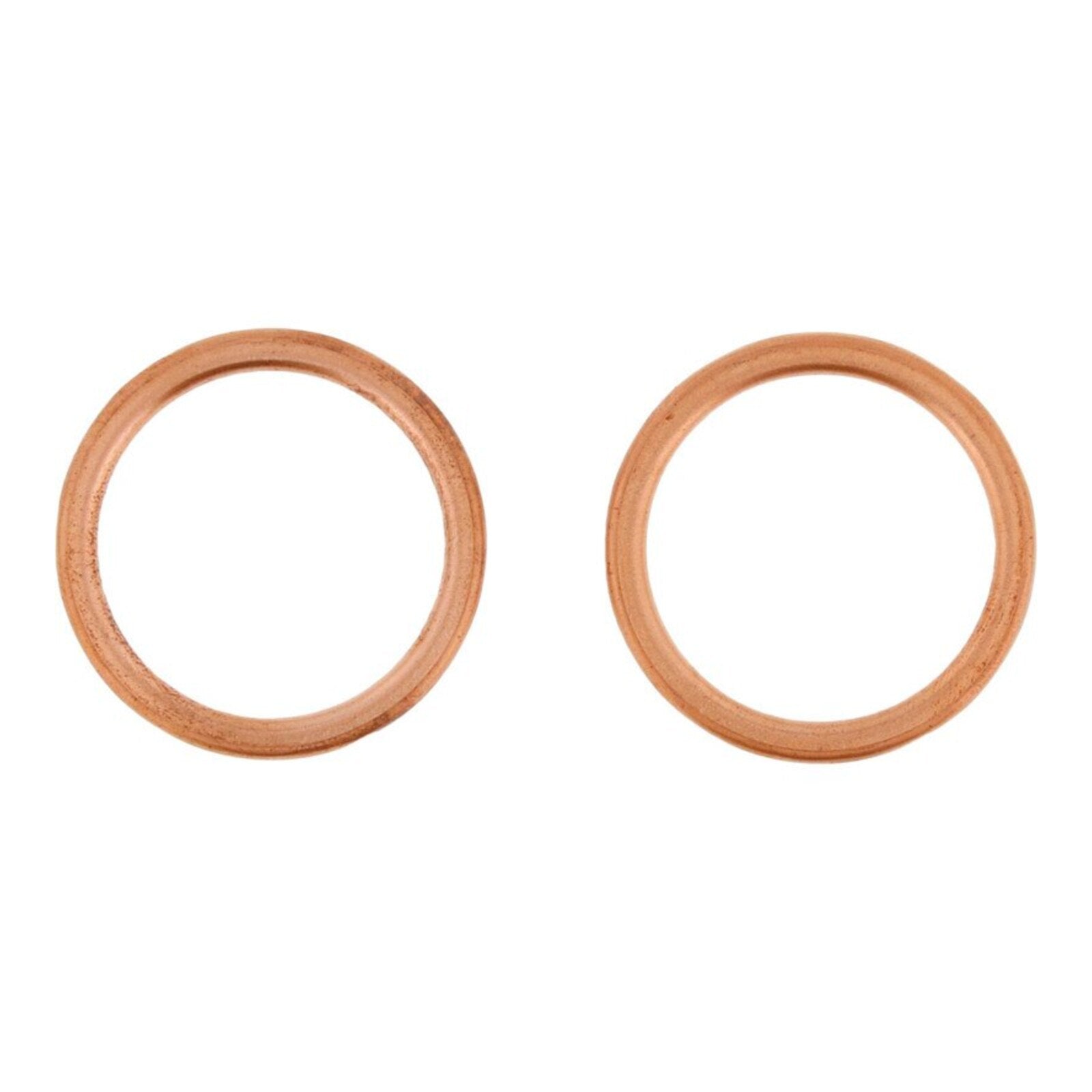Exhaust Gasket Kit 823199